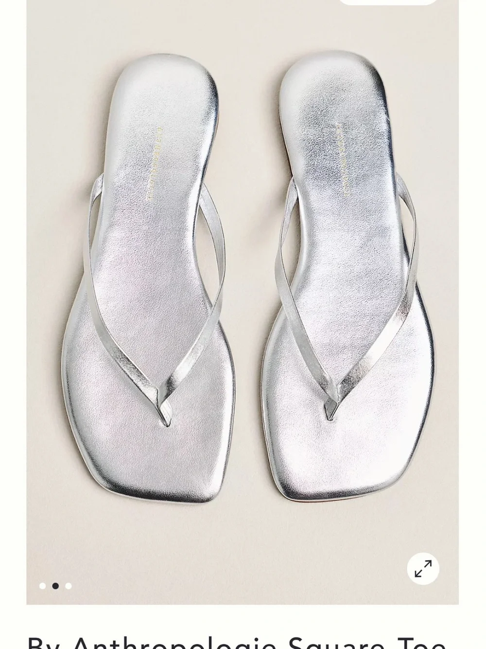 Anthropologie shiny silver
